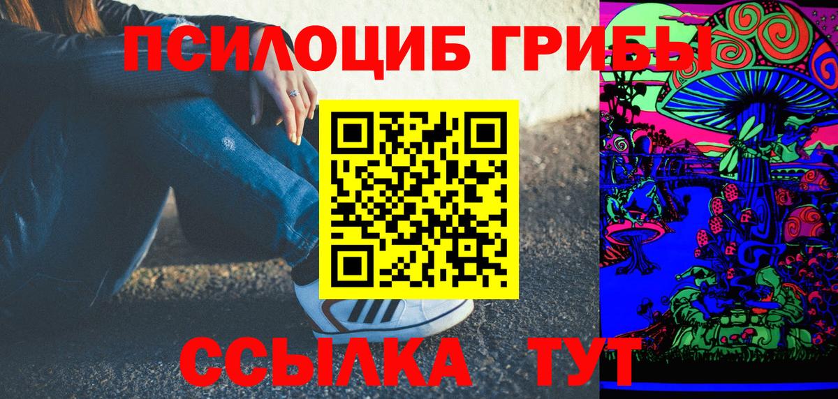 Псилоцибиновые грибы Cubensis Новозыбков