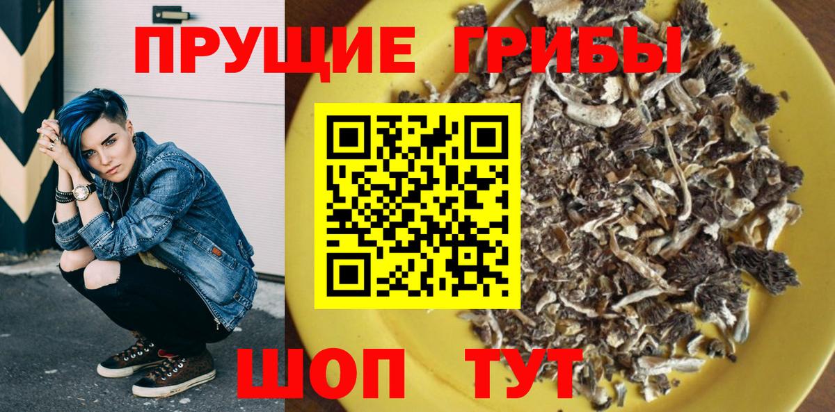 где купить наркоту  Галлюциногенные грибы ЛСД  Вход с VPN  Галлюциногенные грибы ЛСД  Новозыбков 