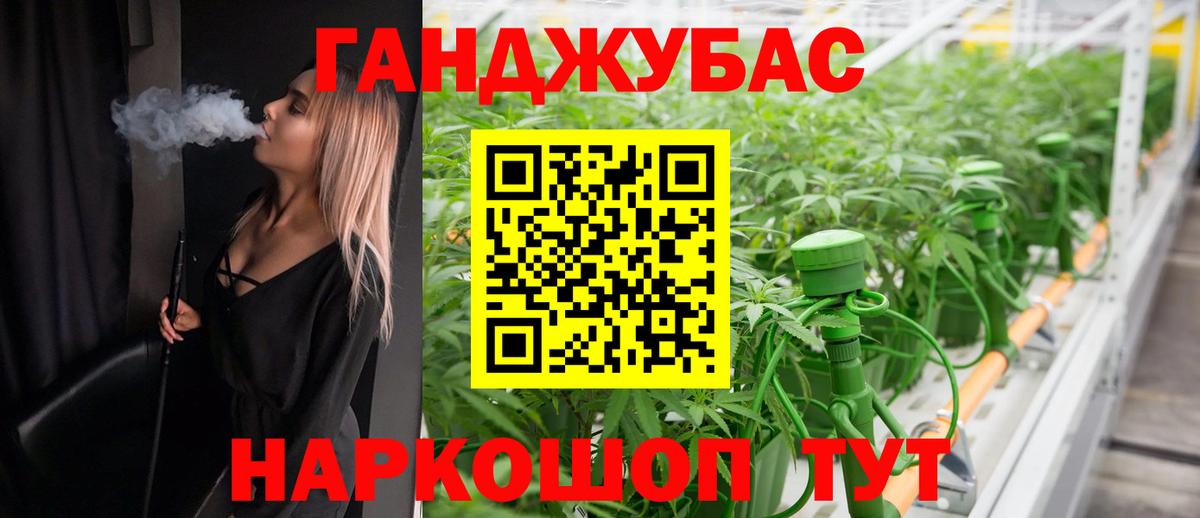Новозыбков  Бошки марихуана планчик  Шишки марихуана VHQ  Вход с VPN  Каннабис марихуана 